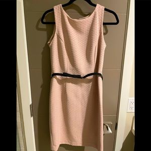 The Limited light pink sheath belted dress